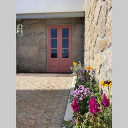 Porto-Braga Family Country House Ferreiro (Porto) Exterior foto