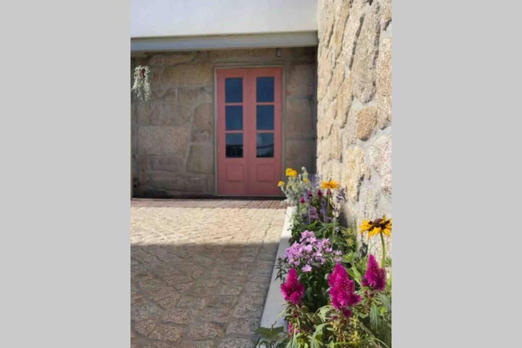 Porto-Braga Family Country House Ferreiro (Porto) Exterior foto